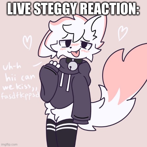 boykisser glow up 2 (hi :3) | LIVE STEGGY REACTION: | image tagged in boykisser glow up 2 hi 3 | made w/ Imgflip meme maker