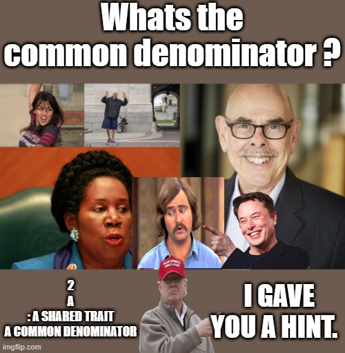 I could list a hundred of them maybe 200 hundred | Whats the common denominator ? 2
A
: A SHARED TRAIT
A COMMON DENOMINATOR; I GAVE YOU A HINT. | image tagged in democrats,rino,republicans | made w/ Imgflip meme maker