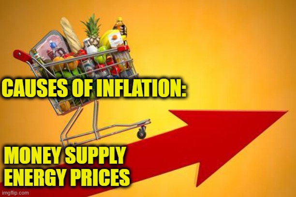 Bidenomics is working for who? | CAUSES OF INFLATION:; MONEY SUPPLY
ENERGY PRICES | image tagged in biden | made w/ Imgflip meme maker