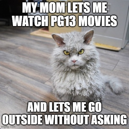 Bad Joke Cat | MY MOM LETS ME WATCH PG13 MOVIES; AND LETS ME GO OUTSIDE WITHOUT ASKING | image tagged in bad joke cat | made w/ Imgflip meme maker