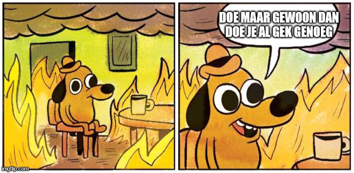 8mgi36.jpg