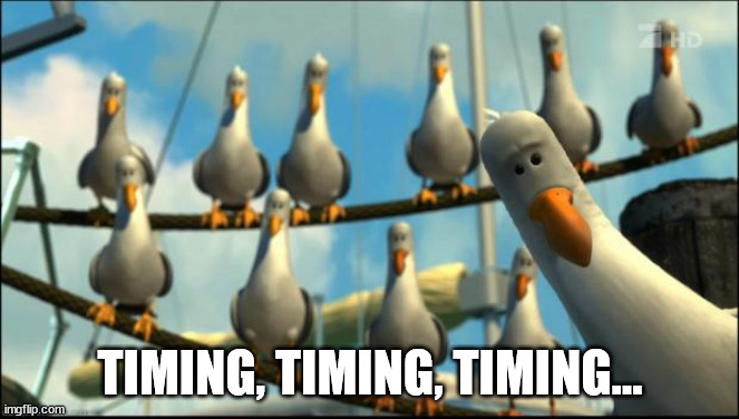 Timing, Timing, Timing... | TIMING, TIMING, TIMING... | image tagged in nemo seagulls mine | made w/ Imgflip meme maker
