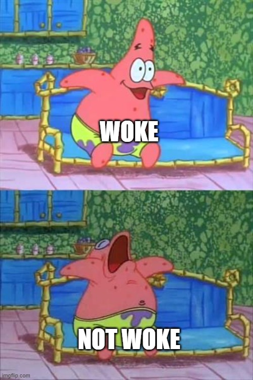 patrick sleeping | WOKE; NOT WOKE | image tagged in patrick sleeping | made w/ Imgflip meme maker