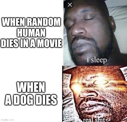 i sleep real shit | WHEN RANDOM HUMAN DIES IN A MOVIE; WHEN A DOG DIES | image tagged in i sleep real shit | made w/ Imgflip meme maker