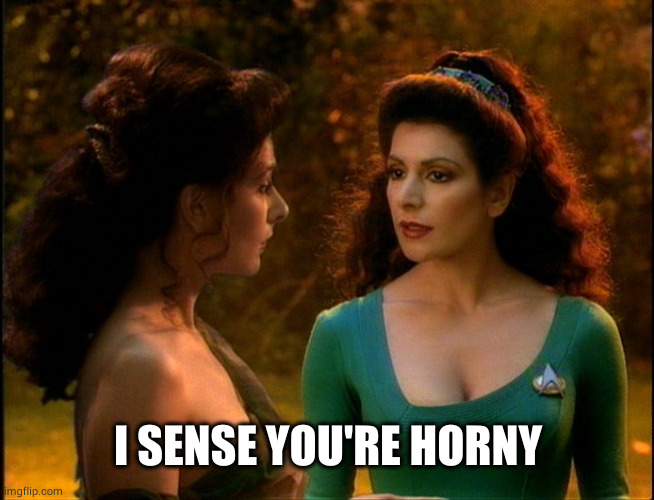 Deanna Troi Holodeck | I SENSE YOU'RE HORNY | image tagged in deanna troi holodeck | made w/ Imgflip meme maker