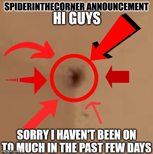 spiderinthecorner announcement | HI GUYS; SORRY I HAVEN'T BEEN ON TO MUCH IN THE PAST FEW DAYS | image tagged in spiderinthecorner announcement | made w/ Imgflip meme maker