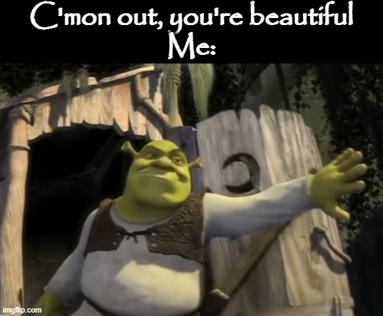 Shrek Memes | C'mon out, you're beautiful
Me: | image tagged in memes,girls,shrek,woman,boys,men | made w/ Imgflip meme maker