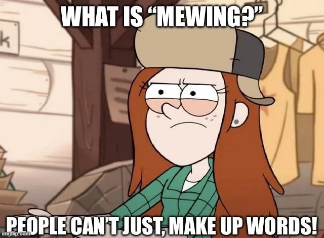 People can't just make up words | image tagged in gravity falls,mewing,memes,funny,relatable | made w/ Imgflip meme maker