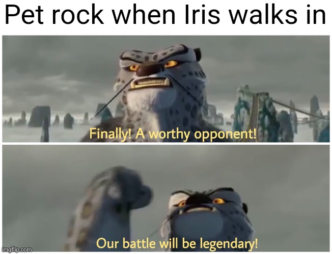 *popcorn eating intensifies* | Pet rock when Iris walks in | image tagged in our battle will be legendary | made w/ Imgflip meme maker