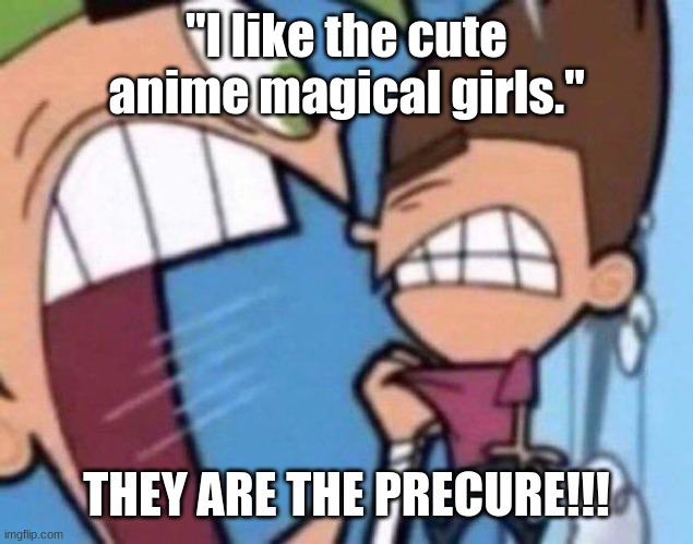 Cosmo yelling at timmy | "I like the cute anime magical girls."; THEY ARE THE PRECURE!!! | image tagged in cosmo yelling at timmy,precure | made w/ Imgflip meme maker