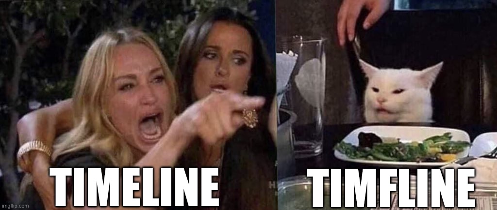 woman yelling at cat | TIMELINE TIMFLINE | image tagged in woman yelling at cat | made w/ Imgflip meme maker
