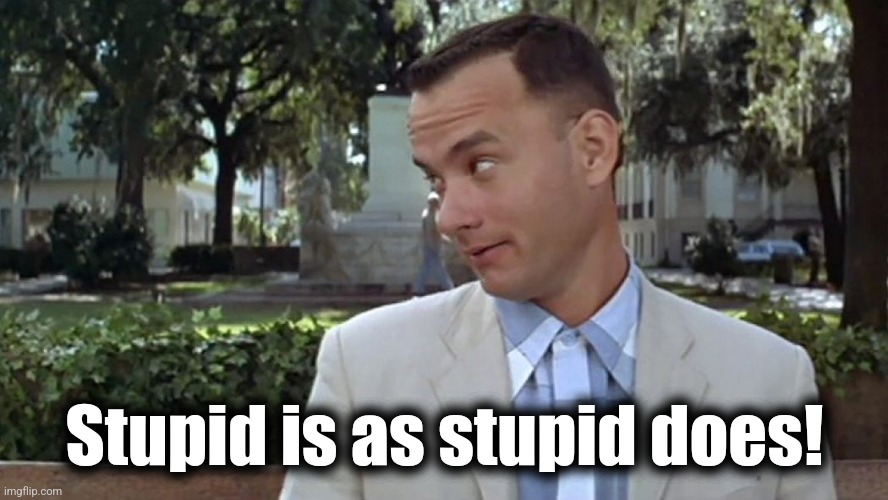 Forrest Gump Face | Stupid is as stupid does! | image tagged in forrest gump face | made w/ Imgflip meme maker