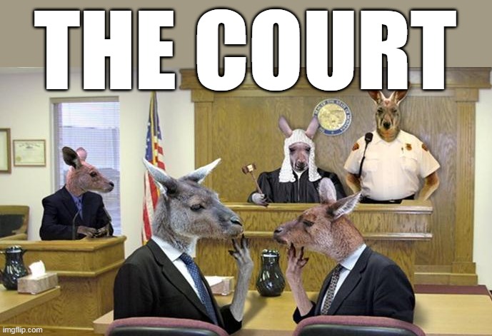 THE COURT | made w/ Imgflip meme maker