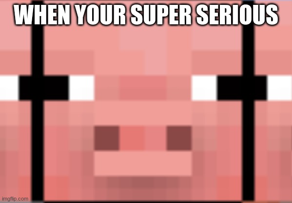 zadfxcggggbkhjhcthgkbj | WHEN YOUR SUPER SERIOUS | image tagged in serious pig | made w/ Imgflip meme maker