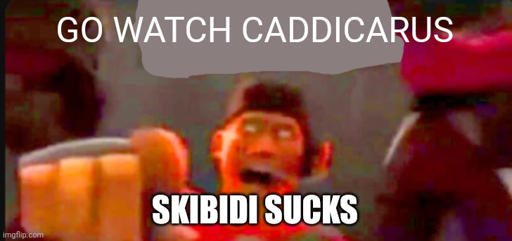 Tf2 scout pointing | GO WATCH CADDICARUS SKIBIDI SUCKS | image tagged in tf2 scout pointing | made w/ Imgflip meme maker