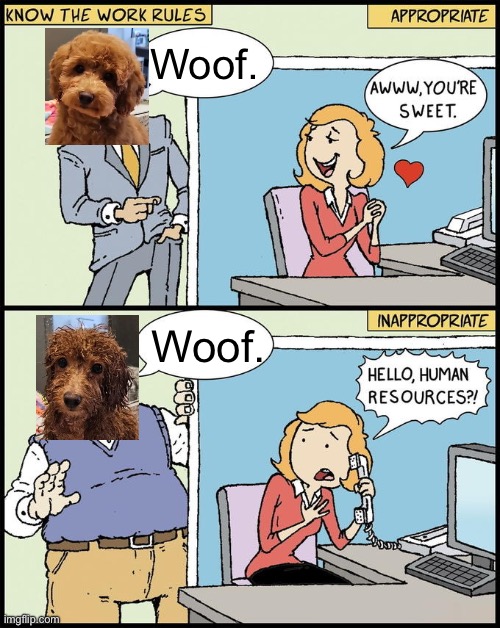 hello human resources | Woof. Woof. | image tagged in hello human resources | made w/ Imgflip meme maker