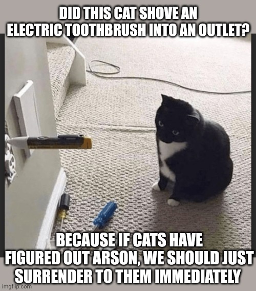 Electrical fire? | DID THIS CAT SHOVE AN ELECTRIC TOOTHBRUSH INTO AN OUTLET? BECAUSE IF CATS HAVE FIGURED OUT ARSON, WE SHOULD JUST SURRENDER TO THEM IMMEDIATELY | image tagged in funny cats | made w/ Imgflip meme maker