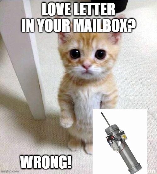 Cute Cat | LOVE LETTER IN YOUR MAILBOX? WRONG! | image tagged in memes,cute cat | made w/ Imgflip meme maker