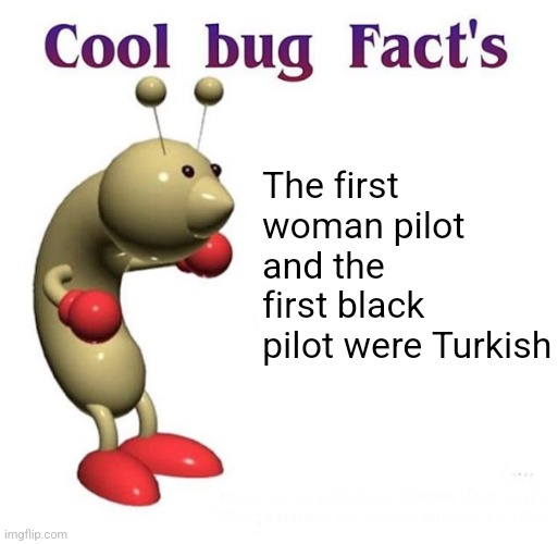 Cool Bug Facts Api | The first woman pilot and the first black pilot were Turkish | image tagged in cool bug facts api | made w/ Imgflip meme maker