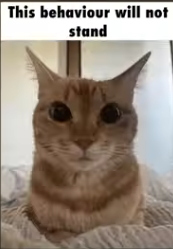 this behaviour will not stand Blank Meme Template