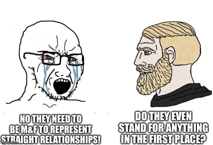 Soyboy Vs Yes Chad | NO THEY NEED TO BE M&F TO REPRESENT STRAIGHT RELATIONSHIPS! DO THEY EVEN STAND FOR ANYTHING IN THE FIRST PLACE? | image tagged in soyboy vs yes chad | made w/ Imgflip meme maker