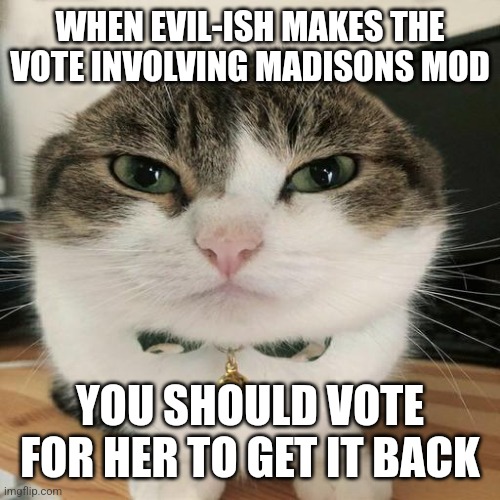 Propaganda (but seriously, she was punished already, and that's enough. What she did had nothing to do with her mod.) | WHEN EVIL-ISH MAKES THE VOTE INVOLVING MADISONS MOD; YOU SHOULD VOTE FOR HER TO GET IT BACK | image tagged in wawa cat | made w/ Imgflip meme maker