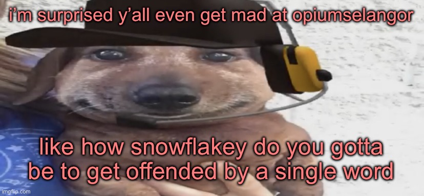 chucklenuts | i’m surprised y’all even get mad at opiumselangor; like how snowflakey do you gotta be to get offended by a single word | image tagged in chucklenuts | made w/ Imgflip meme maker