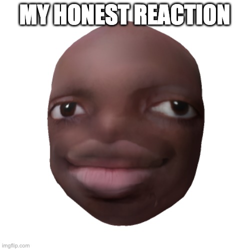real life roblox face | MY HONEST REACTION | image tagged in real life roblox face | made w/ Imgflip meme maker