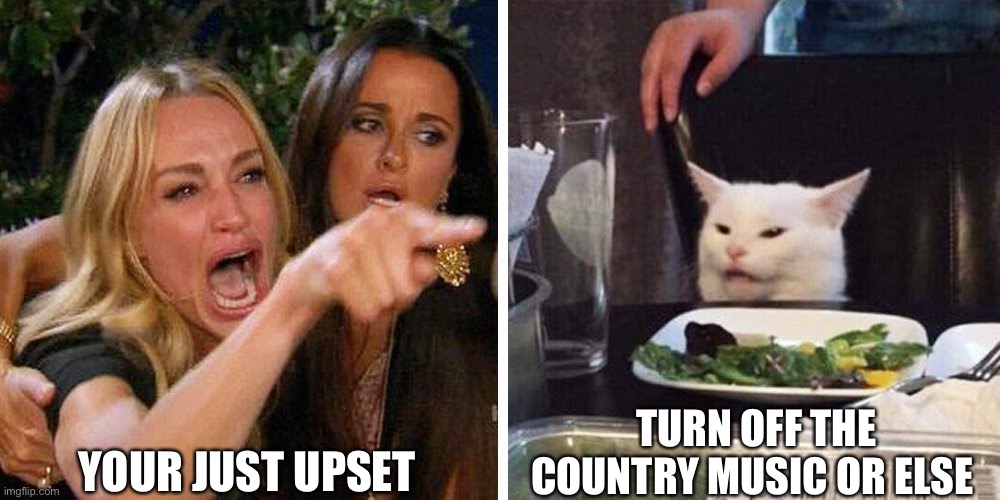 Smudge the cat | YOUR JUST UPSET; TURN OFF THE COUNTRY MUSIC OR ELSE | image tagged in smudge the cat | made w/ Imgflip meme maker