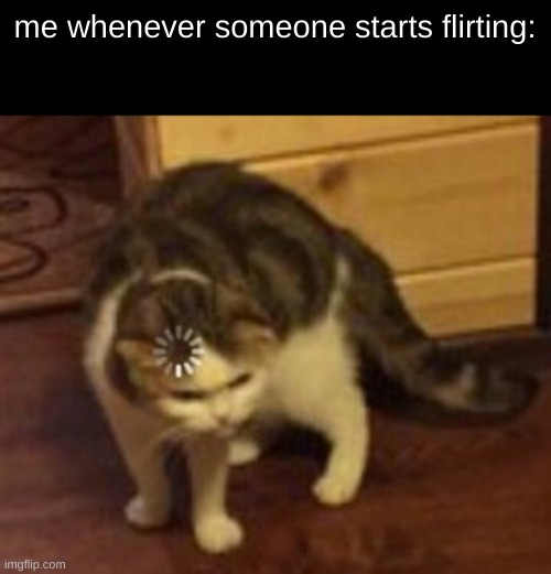 Loading cat | me whenever someone starts flirting: | image tagged in loading cat | made w/ Imgflip meme maker