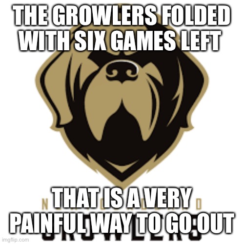 Hockey | THE GROWLERS FOLDED WITH SIX GAMES LEFT; THAT IS A VERY PAINFUL WAY TO GO OUT | image tagged in hockey | made w/ Imgflip meme maker