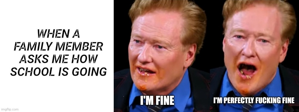 When my family asks about school | WHEN A FAMILY MEMBER ASKS ME HOW SCHOOL IS GOING | image tagged in conan o'brien | made w/ Imgflip meme maker