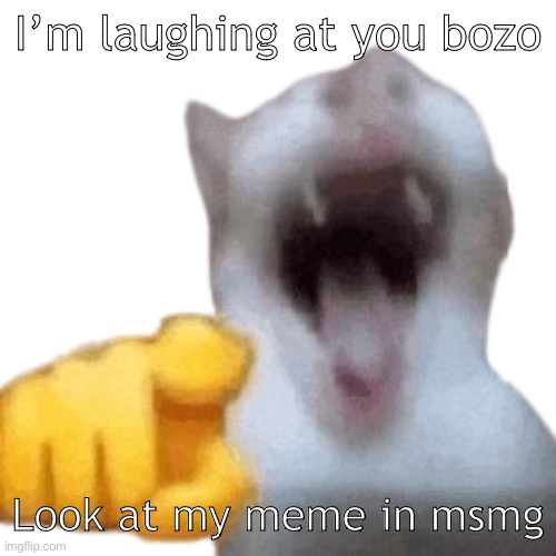 @best66 | I’m laughing at you bozo; Look at my meme in msmg | image tagged in laughing cat | made w/ Imgflip meme maker