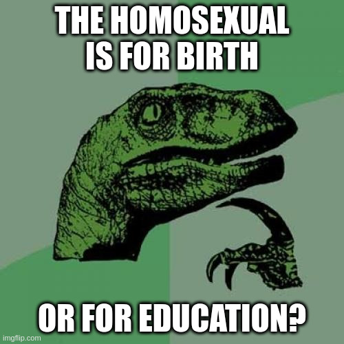 education | THE HOMOSEXUAL IS FOR BIRTH; OR FOR EDUCATION? | image tagged in memes,philosoraptor | made w/ Imgflip meme maker