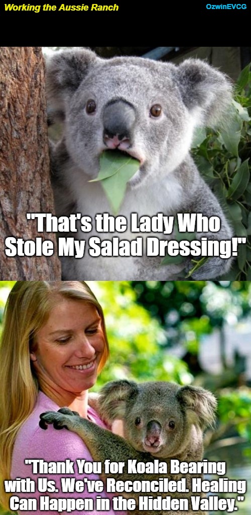 Working the Aussie Ranch [NV] | OzwinEVCG; Working the Aussie Ranch; "That's the Lady Who 

Stole My Salad Dressing!"; "Thank You for Koala Bearing 

with Us. We've Reconciled. Healing 

Can Happen in the Hidden Valley." | image tagged in surprised koala,salads,condiments,happy koala,smiling woman,food fight | made w/ Imgflip meme maker