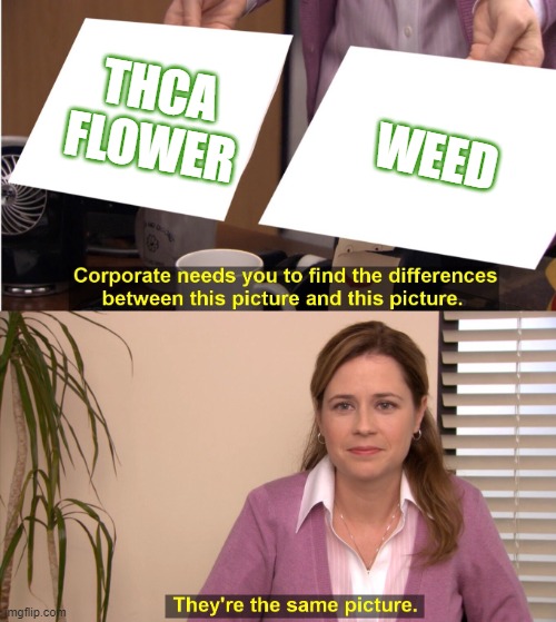 corporate wants you to find the difference | THCA FLOWER; WEED | image tagged in corporate wants you to find the difference | made w/ Imgflip meme maker