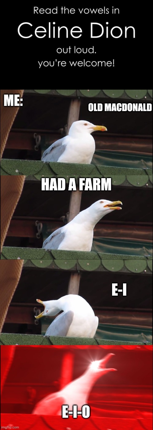 I didn't know that Celine Dion owned a farm | ME:; OLD MACDONALD; HAD A FARM; E-I; E-I-O | image tagged in memes,inhaling seagull,celine dion,nursery rhymes | made w/ Imgflip meme maker