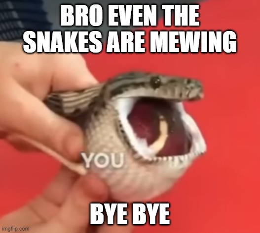 mewing | BRO EVEN THE SNAKES ARE MEWING; BYE BYE | image tagged in memes,mew,gen alpha,jaws | made w/ Imgflip meme maker