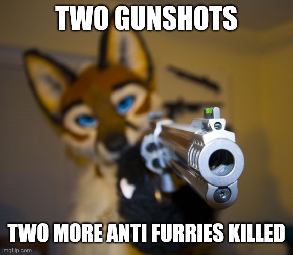 Furry with gun | TWO GUNSHOTS; TWO MORE ANTI FURRIES KILLED | image tagged in furry with gun | made w/ Imgflip meme maker