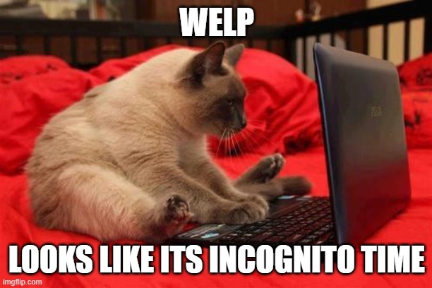 WELP LOOKS LIKE ITS INCOGNITO TIME | image tagged in quit looking at cats online | made w/ Imgflip meme maker