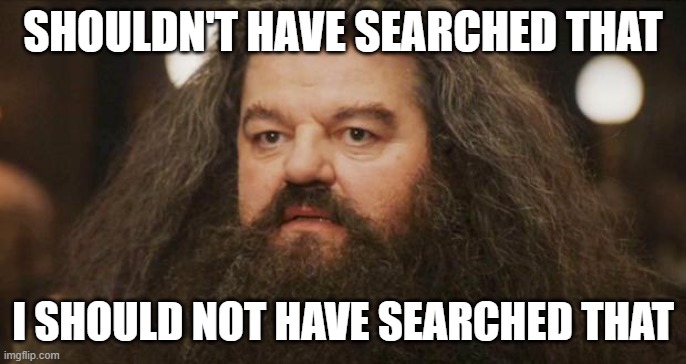 SHOULDN'T HAVE SEARCHED THAT I SHOULD NOT HAVE SEARCHED THAT | image tagged in hagrid | made w/ Imgflip meme maker