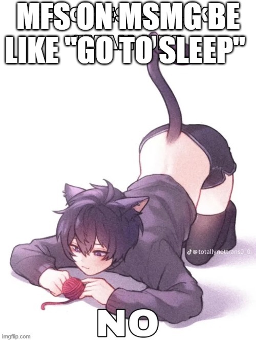 *cough cough* SWN*cougH* | MFS ON MSMG BE LIKE "GO TO SLEEP" | image tagged in bitches be like | made w/ Imgflip meme maker