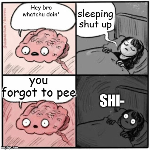 Brain Before Sleep | sleeping shut up; Hey bro whatchu doin'; you forgot to pee; SHI- | image tagged in brain before sleep | made w/ Imgflip meme maker