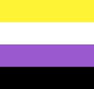 Non-binary flag Blank Meme Template