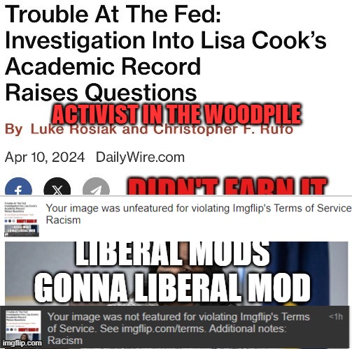 Activist in the woodpile | ACTIVIST IN THE WOODPILE | image tagged in activist,liberals,liberal media,brainwashed,racist,racism | made w/ Imgflip meme maker