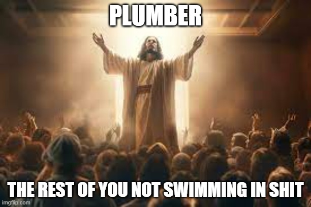 Plumber | PLUMBER; THE REST OF YOU NOT SWIMMING IN SHIT | image tagged in plumber | made w/ Imgflip meme maker