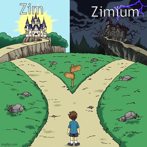 I’m stumped | Zim; Zimium | image tagged in two castles | made w/ Imgflip meme maker