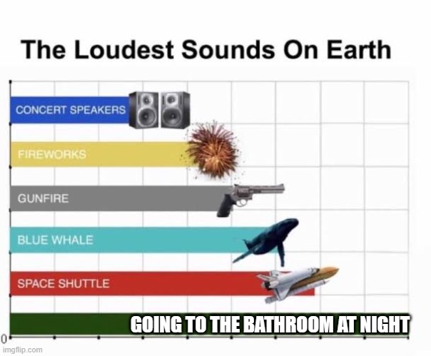The Loudest Sounds on Earth | GOING TO THE BATHROOM AT NIGHT | image tagged in the loudest sounds on earth | made w/ Imgflip meme maker