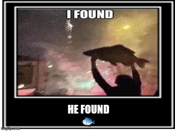 ? | HE FOUND
🐟 | image tagged in i like,fish,for dummies | made w/ Imgflip meme maker