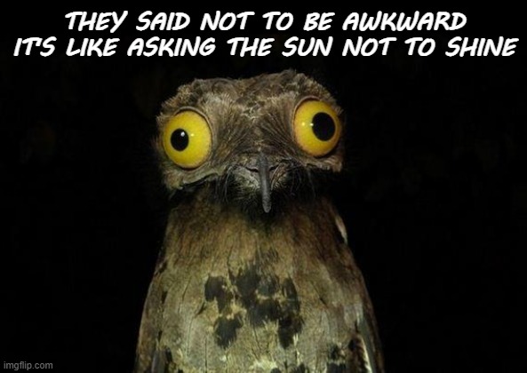 Awkward Meme | THEY SAID NOT TO BE AWKWARD
IT'S LIKE ASKING THE SUN NOT TO SHINE | image tagged in memes,weird stuff i do potoo,awkward,weird,socially awkward,relatable memes | made w/ Imgflip meme maker